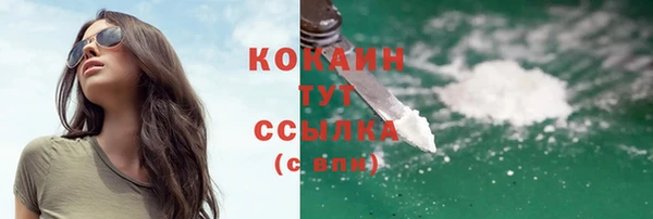 соль ск Арсеньев