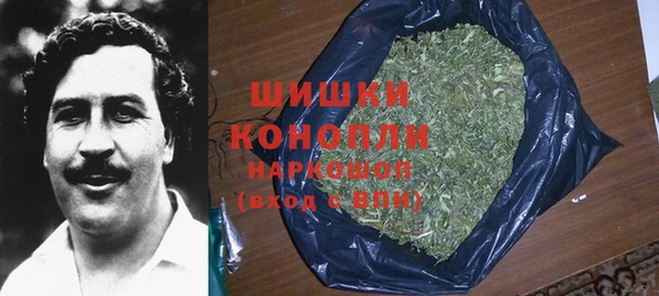 соль ск Арсеньев